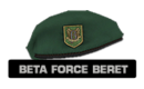 Betaforceberet2_1_